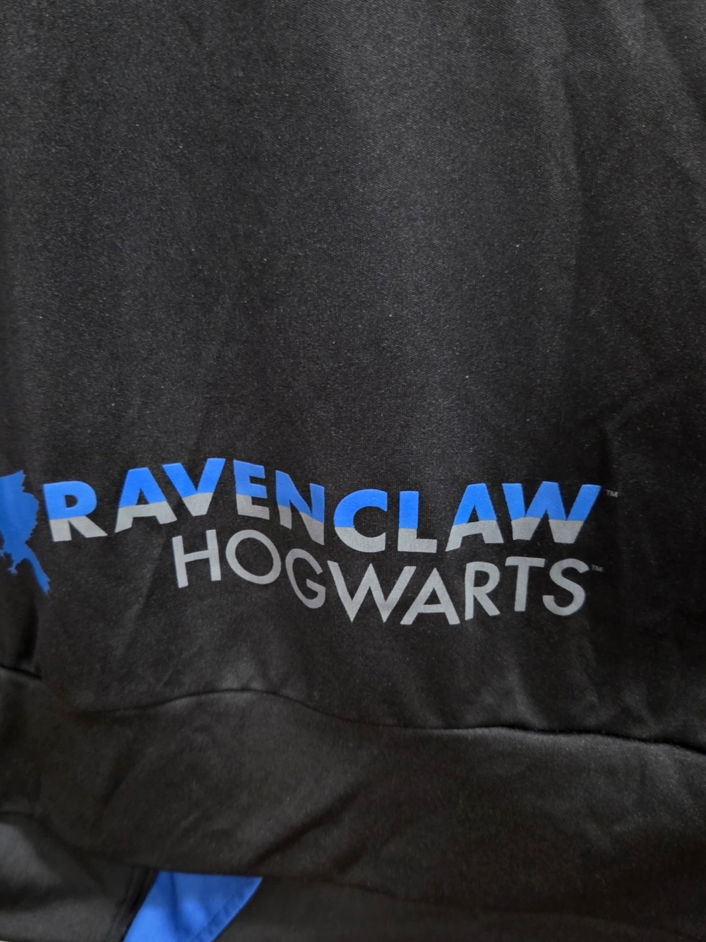 Ravenclaw Hogwarts Men's  Black & Blue Hoodie 3X